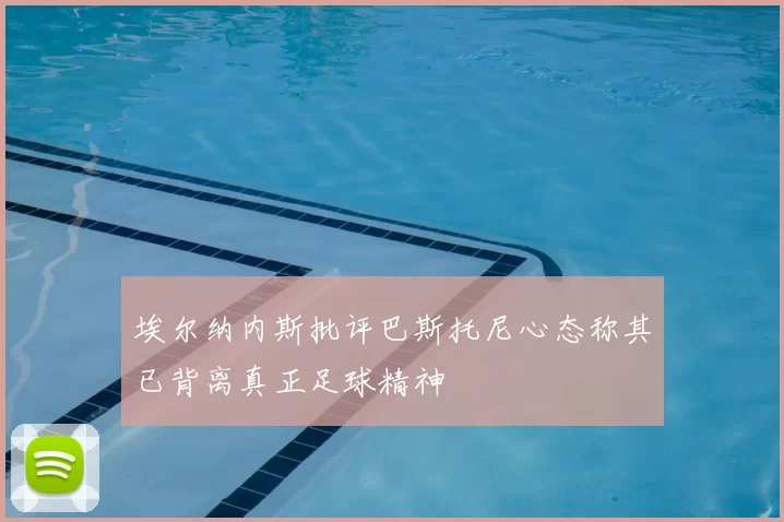 埃尔纳内斯批评巴斯托尼心态称其已背离真正足球精神