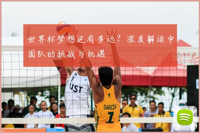 世界杯梦想还有多远？深度解读中国队的挑战与机遇