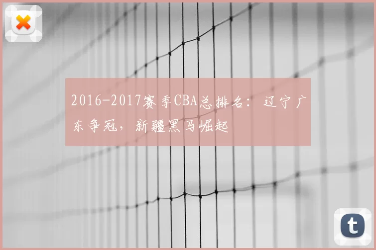 2016-2017赛季CBA总排名：辽宁广东争冠，新疆黑马崛起
