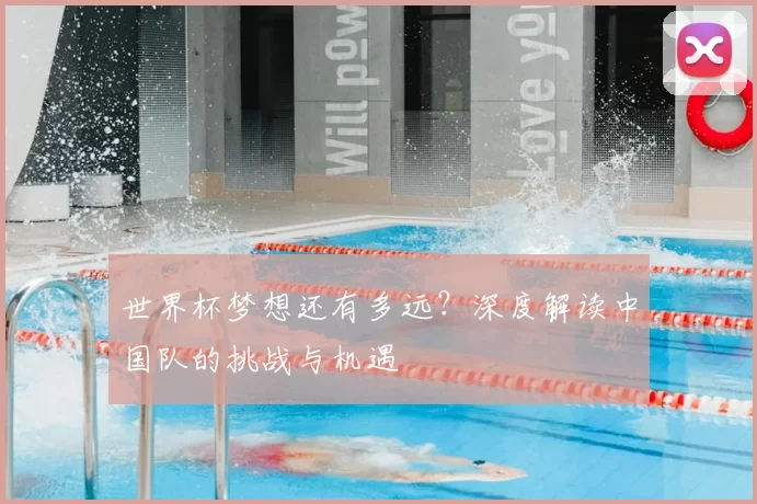 世界杯梦想还有多远？深度解读中国队的挑战与机遇