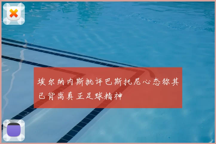 埃尔纳内斯批评巴斯托尼心态称其已背离真正足球精神