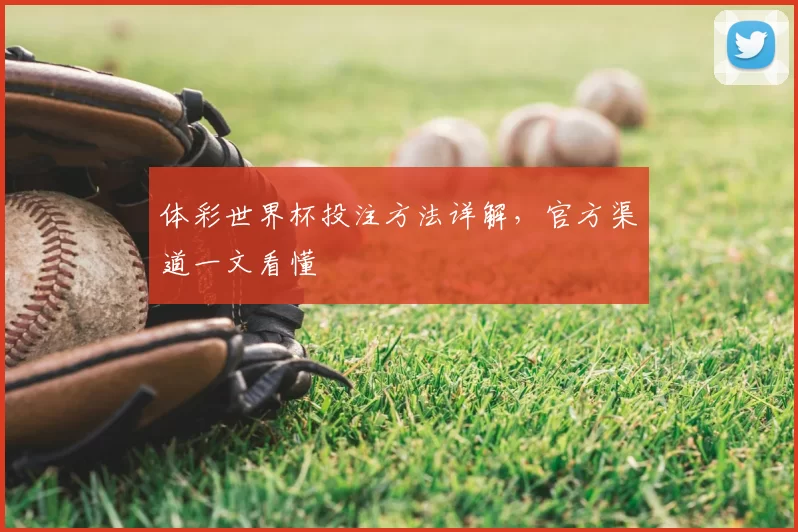 体彩世界杯投注方法详解，官方渠道一文看懂