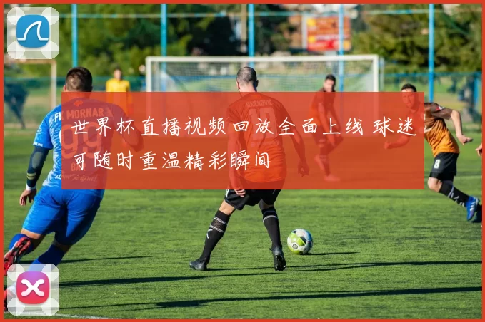 世界杯直播视频回放全面上线 球迷可随时重温精彩瞬间
