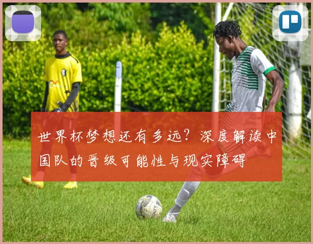 世界杯梦想还有多远？深度解读中国队的晋级可能性与现实障碍