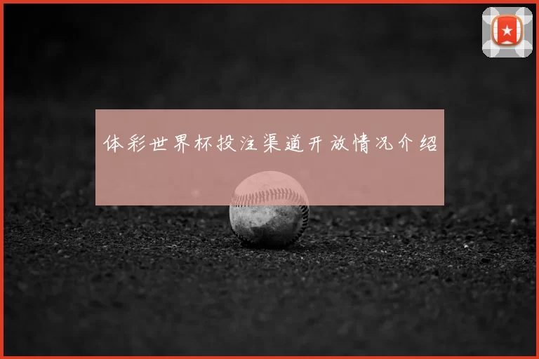 体彩世界杯投注渠道开放情况介绍
